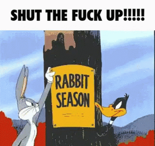 Looney Tunes Rabbit Season GIF - Looney Tunes Rabbit Season Duck Season GIFs