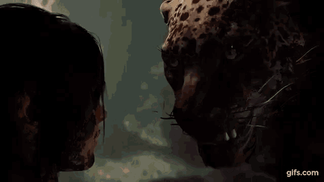 a woman is looking at a leopard with blood on its face .