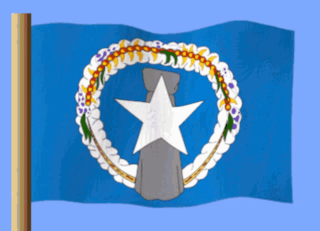 a blue flag with a white star in a circle
