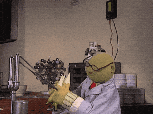 Muppet Show Muppets GIF - Muppet Show Muppets Bunsen Honeydew GIFs