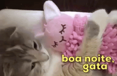 Boa Noite Gata/ Casal / Gato / Gatíneo GIF - Good Night Girl Good Night Cat GIFs