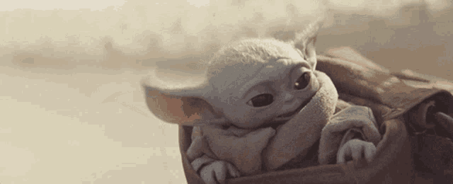 a baby yoda is sitting in a brown blanket on the beach .