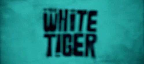 The White Tiger Netflix GIF - The White Tiger Netflix GIFs
