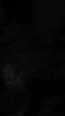 a silhouette of a wolf howling in front of a full moon with the words somos written below it