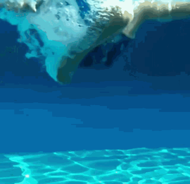 Underwater Aahandfield GIF - Underwater Aahandfield Water GIFs