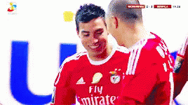 Benfica Slb GIF - Benfica Slb Sl Benfica GIFs