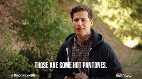 Those Are Some Hot Pantones Jake Peralta GIF - Those Are Some Hot Pantones Jake Peralta Andy Samberg GIFs