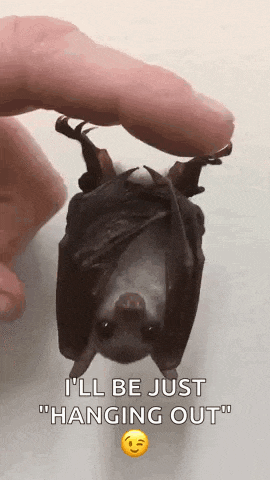 a person is holding a bat upside down with the words `` i 'll be just hanging out '' written on it .