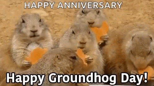 Groundhog Day Eating GIF - Groundhog Day Eating Happy GIFs