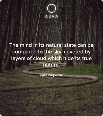 the mind in its natural state can be compared to the sky covered by layers of cloud which hide its true nature .