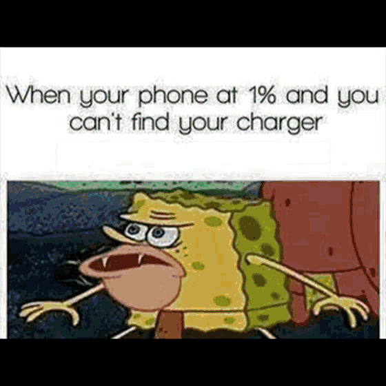 Spongebob Meme GIF