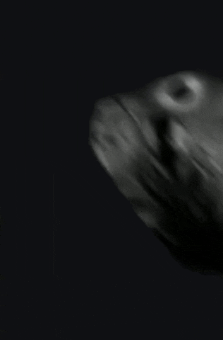 a mri scan of a person 's brain is being displayed on a cell phone .