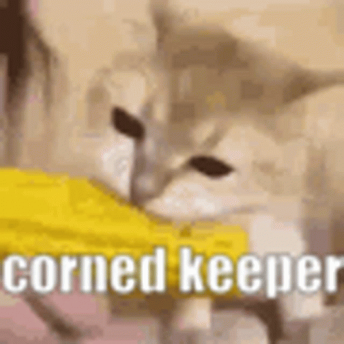 Corn Keeper Core Keeper GIF - Corn Keeper Core Keeper Corn Cat GIFs