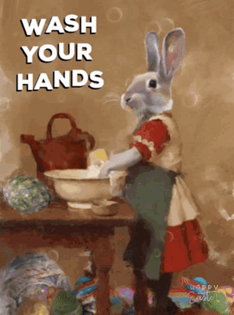 Wash Your Hands Hygiene GIF - Wash Your Hands Hygiene Rabbits GIFs