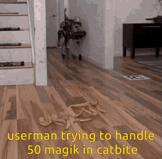 Catbite Userman GIF