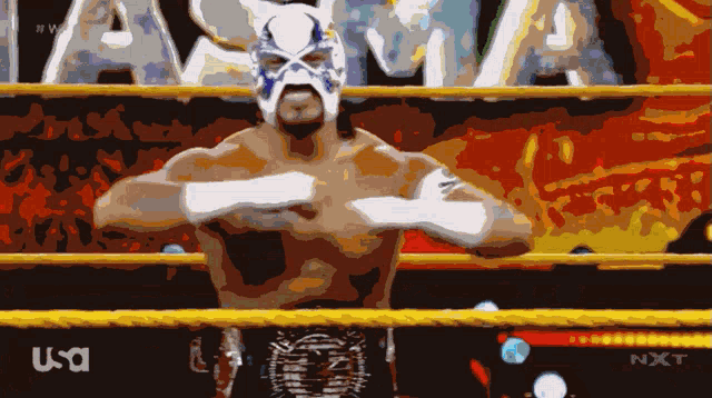 a wrestler in a ring with the word nxt on the bottom right