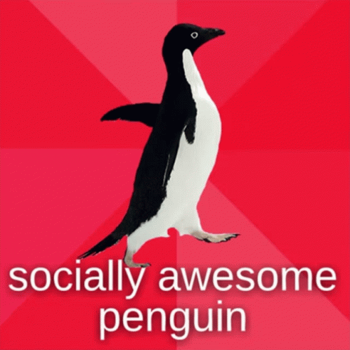 Socially Awesome Penguin GIF - Socially Awesome Penguin GIFs