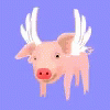 When Pigs Fly Flying Pigs GIF
