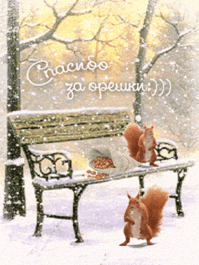 two squirrels sit on a bench with a bag of nuts