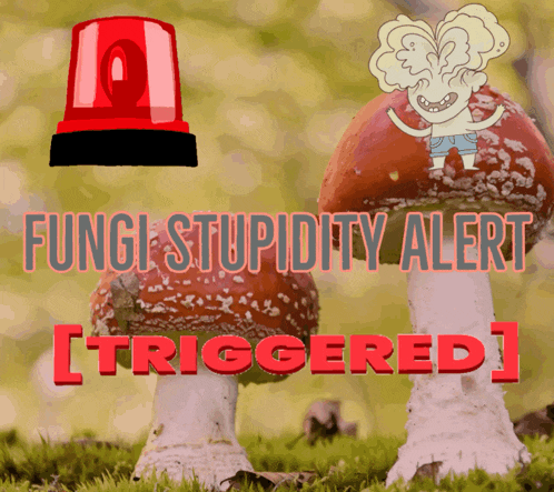 Fungi Triggered GIF
