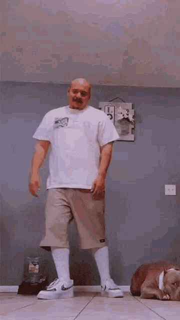 Moving Left To Right Doggface208 GIF