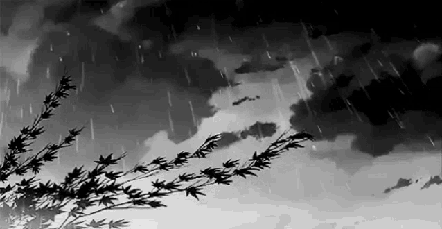 a black and white drawing of a tree branch in the rain