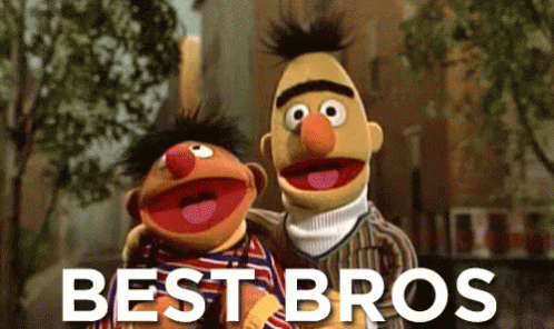 Best Bros GIF - Bro Sesamestreet Bert GIFs