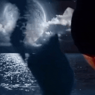 a wolf howling at a full moon over a body of water