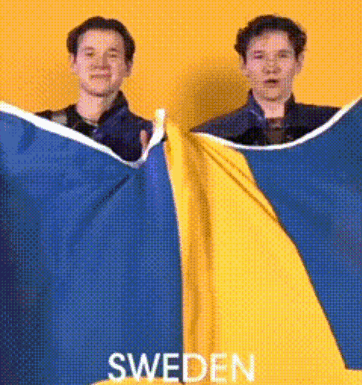Marcus And Martinus Sweden GIF - Marcus And Martinus Sweden Flag GIFs