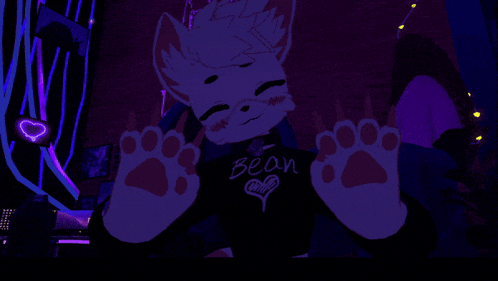 a cat wearing a shirt that says bean girl
