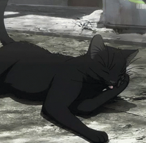 Cat Anime Cat GIF - Cat Anime Cat GIFs