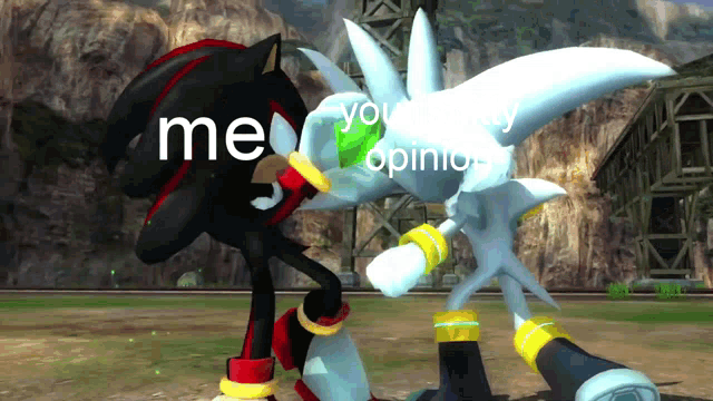 shadow the hedgehog and silver the hedgehog are in a video game