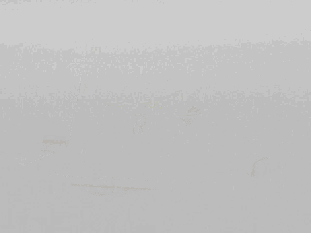 Luna Y Kai Mafuyama GIF