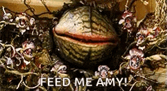 a picture of a plant with the words feed me amy on it .