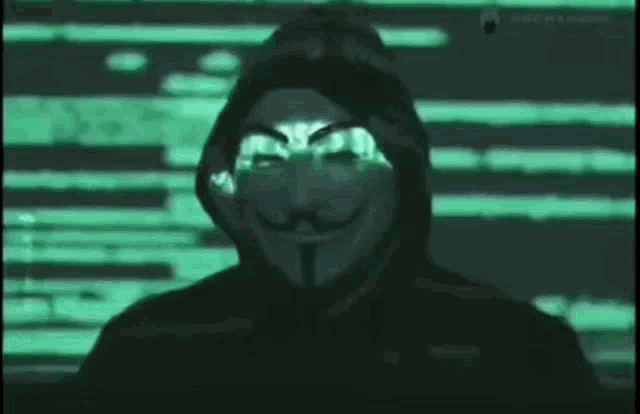 a man in a hooded jacket with a mask on stands in front of a screen that says " anonymous "