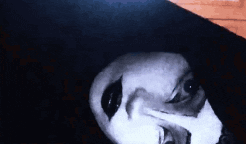 a close up of a person 's face with a hood on