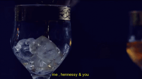Hennessy Me Hennessy And You GIF - Hennessy Me Hennessy And You Drinking GIFs