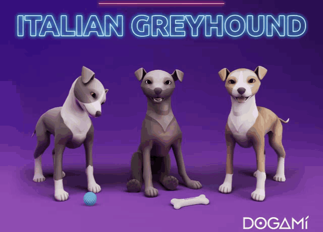 a purple background with three dogs and the words italian greyhound on top