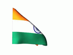 India Flag GIF - India Jaiho GIFs