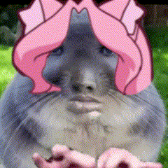 a close up of a cat with a pink bow on it 's head