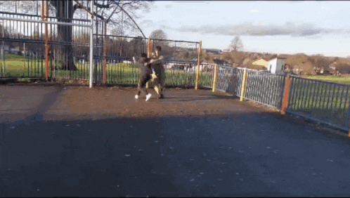 a couple of people standing in front of a metal fence
