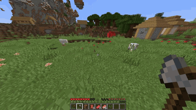 a red item in a video game says raw beef on it