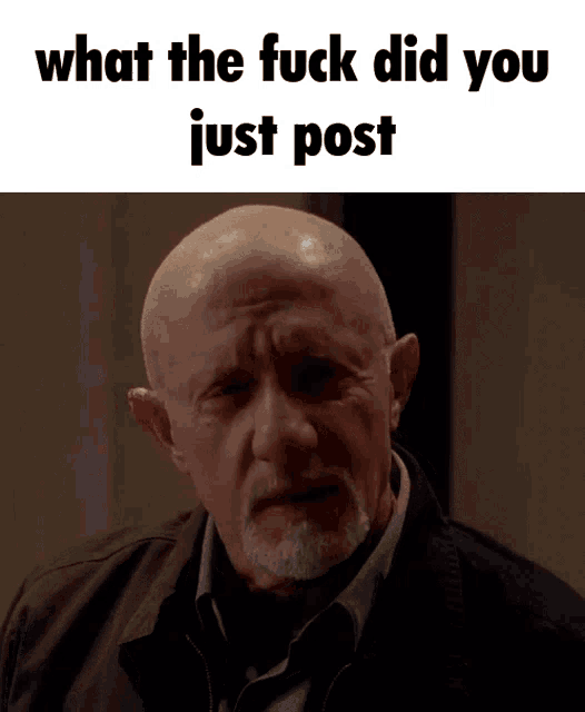 a bald man with a beard and the words what the fuck did you just post above him