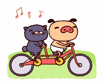 a pug and a cat are riding a tandem bike together