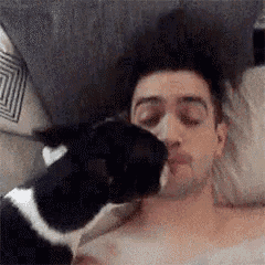 a black and white cat is licking a man 's face while laying in bed .