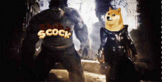 a doge is standing next to a hulk with the words shiba scock written on his shirt