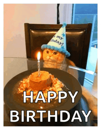 a cat wearing a party hat looks at a birthday cake with a candle