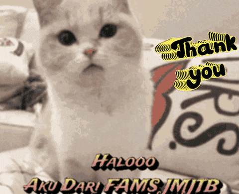 a picture of a cat with a thank you message