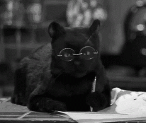 Salem Cat GIF - Salem Cat The GIFs