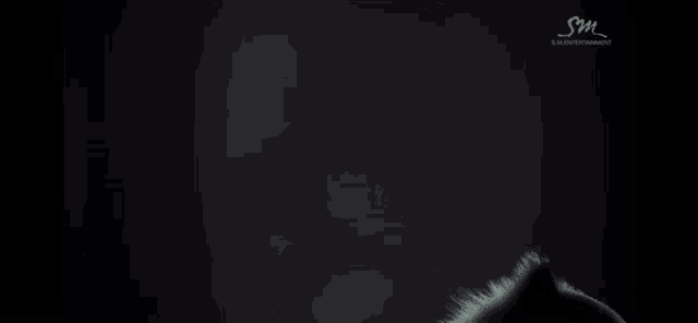 a silhouette of a person standing in front of a window with a hat on their head .